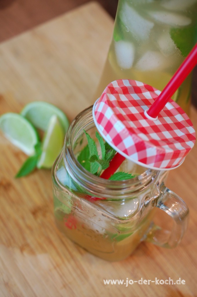 Ingwer Limetten Apfel Spritz – Jo-der-Koch