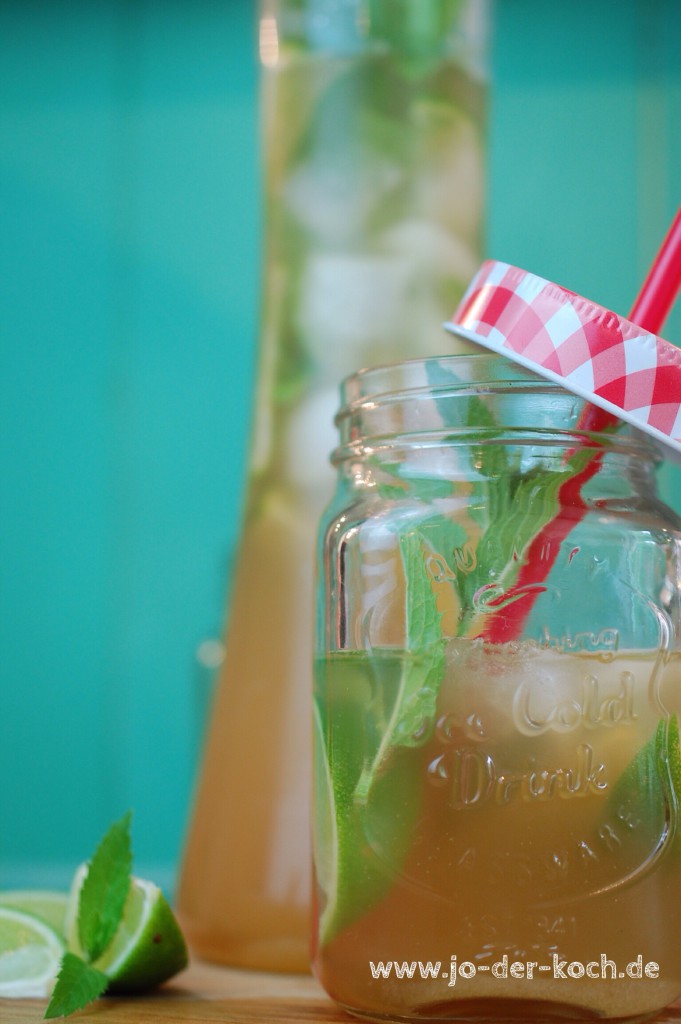 Ingwer Limetten Apfel Spritz – Jo-der-Koch